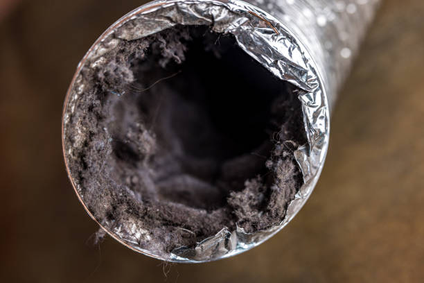 Best Commercial Air Duct Cleaning  in Overlea, MD