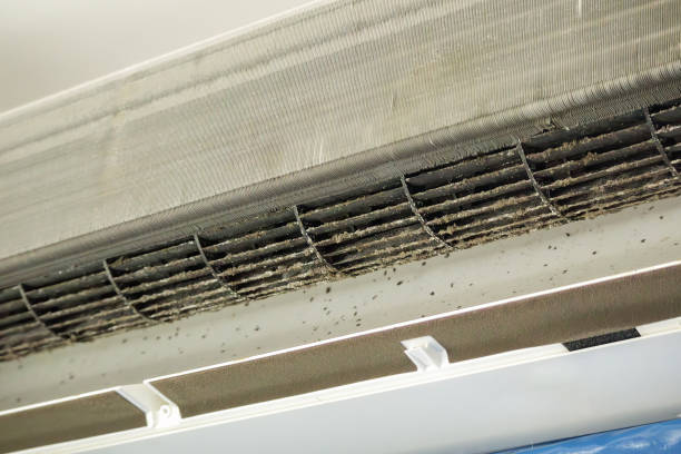 Professional Airduct Cleaning in Overlea, MD